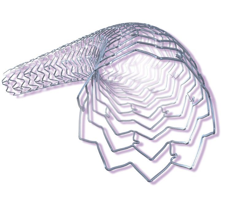 Stent Xience SkyPoint